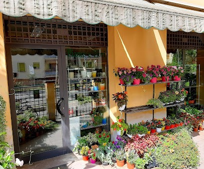 Lino Mario Di Lino Susanna & C., Fiorista a Faenza