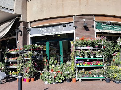 Floricoltura Lagomarsino Recco, Fiorista a Recco