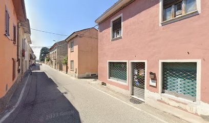 Il Girasole Fiore E Piante Di Torriani Roberta, Fiorista a Ticineto