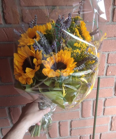 I Fiori Di…, Fiorista a Muggiò