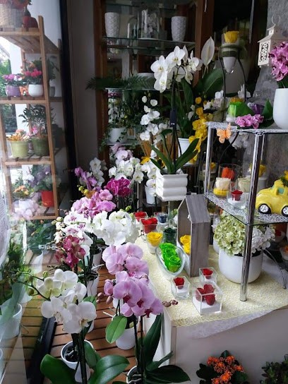 Fioreria All'Angolo Fiorito, Fiorista a Venezia