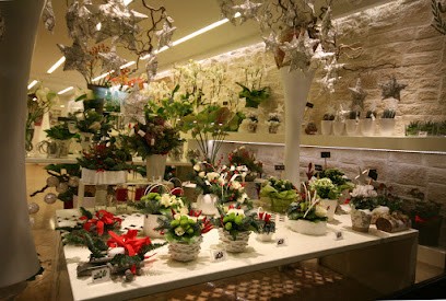 Fioreria L'Olandesina Di Menato Viviana, Fiorista a Legnago