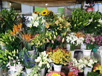 Vernisi Piante e Fiori, Fiorista a Crema