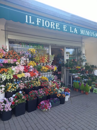 Il Fiore E La Mimosa, Fiorista a Bologna