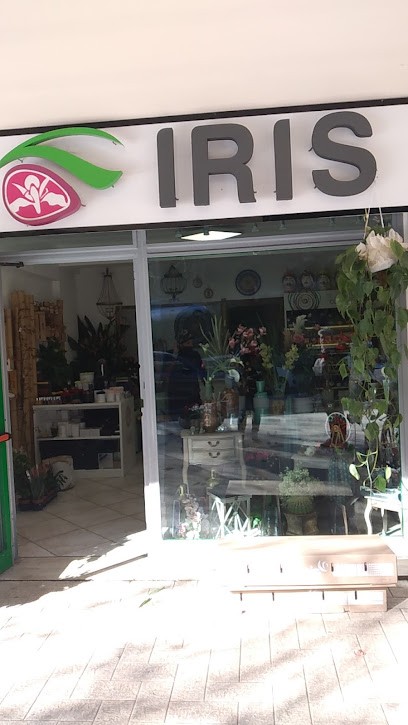 Iris Fiori E Piante, Fiorista a Poggio Mirteto