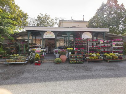 L`Angolo Fiorito, Fiorista a San Severino Marche