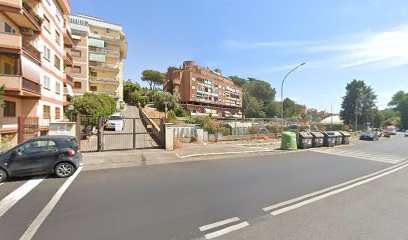 Francesco Company S.N.C Di Khalil Ashraf, Fiorista a Roma