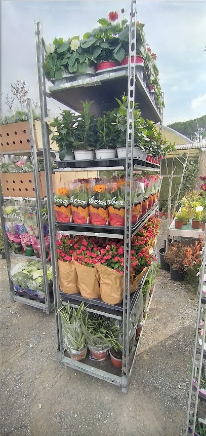 Vivai Idea Verde, Fiorista a Pistoia