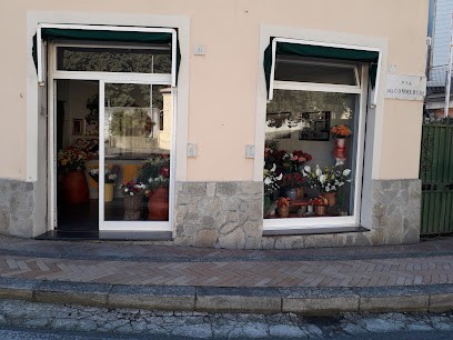 I Fiori Di Anna Di Anna Cavalieri, Fiorista a Genova