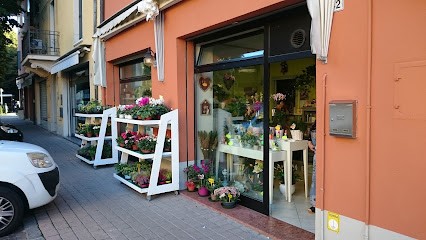 Fioreria Carantoni Di Carantoni Stefano, Fiorista a Molinella