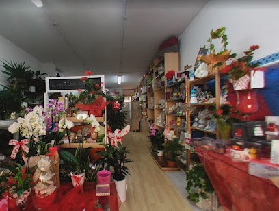 Vivaio IL Pitorsino - Lo Store, Fiorista a Orbetello