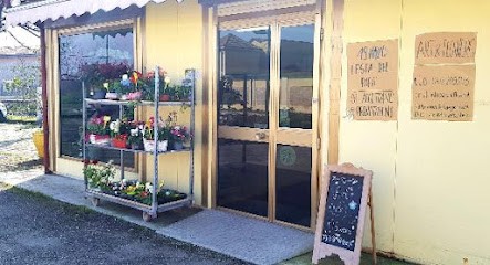 Art & Flowers S.a.s., Fiorista a Cavriago