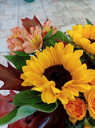 Il Tulipano Di Sebastiano Lambroni, Fiorista a Priolo Gargallo