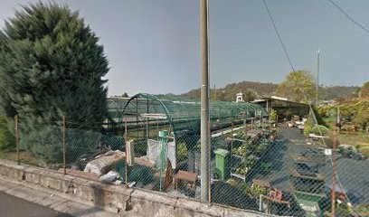 Bertolotti Gian Achille, Fiorista a Arona