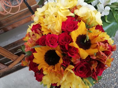 Fagnani fiori, Fiorista a Vittuone