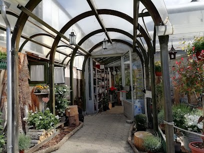 Floricoltura Ioriatti, Fiorista a Baselga di Pinè