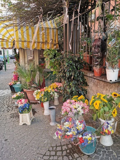 Fantasie Di Primavera (piante E Fiori), Fiorista a Napoli
