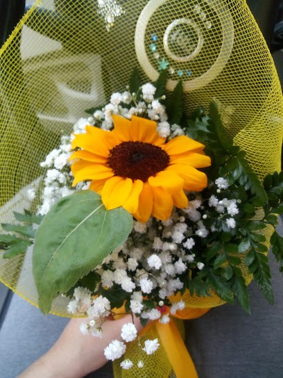 Il Nido Dei Fiori Di Dell'Amico Katia, Fiorista a Massa