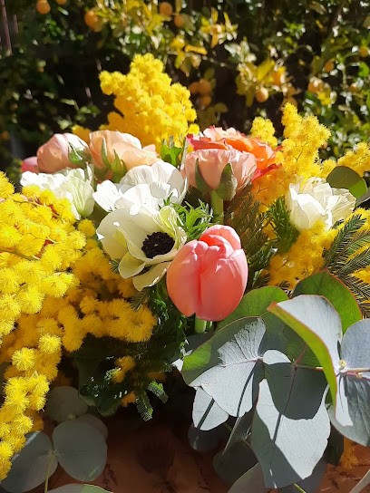 La Riviera del Fiore - Salati Maria Domenica, Fiorista a Ripi