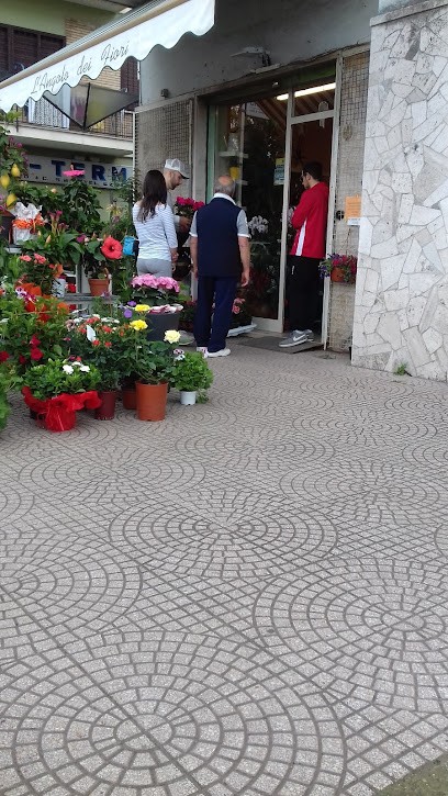 L'Angolo Dei Fiori, Fiorista a Roma