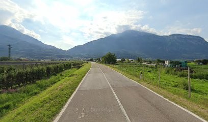 Fiori Delle Dolomiti, Fiorista a Trento
