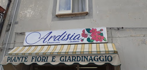 Ardisia, Fiorista a Lagonegro