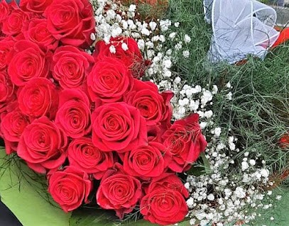 TrovaFioraio.it, Fiorista a Cutrofiano