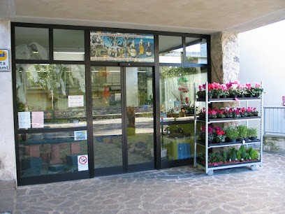 Fioreria - Spaccio Olio E.v. Di Oliva Prodotti Tipici, Fiorista a Limone sul Garda