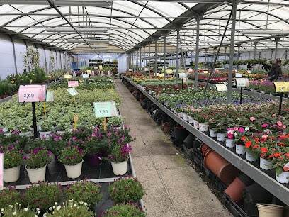 Floricoltura Bazzini Paolo, Fiorista a Cassano Magnago