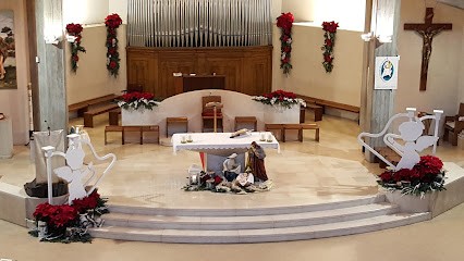 Fioreria Boheme Di Boem Massimo, Fiorista a Conegliano