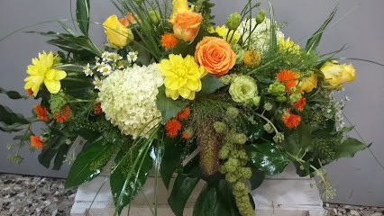 Fioreria Pitozzi Di Renoldi Gianluigi, Fiorista a Rezzato