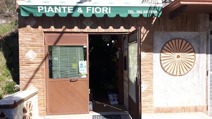 Punto Verde, Fiorista a Trevi nel Lazio