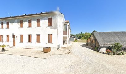 Salizzato Angelica FIORI E PIANTE, Fiorista a Carmignano di Brenta