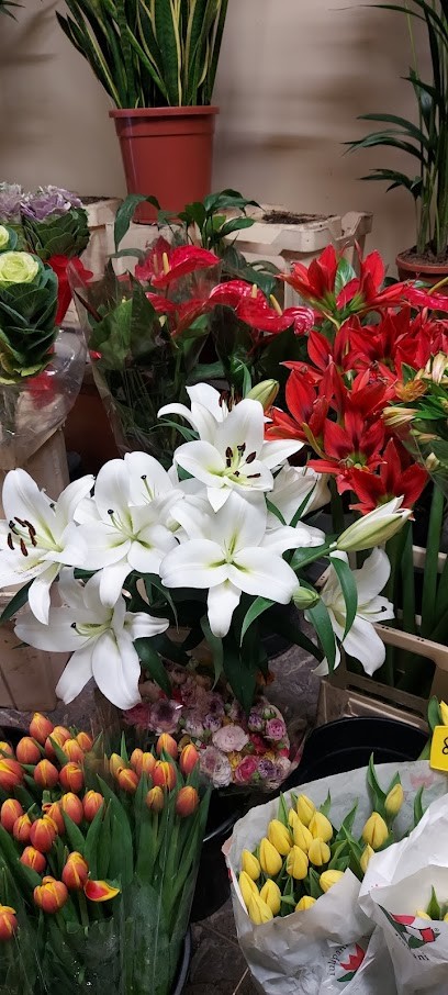 Fiori E Piante Da Carlo, Fiorista a Torino