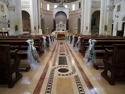 Aster - Fiori E Piante, Fiorista a Roma