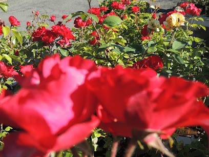 Semprefiori, Fiorista a Sala Baganza
