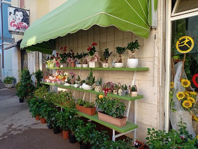 Fiorista Nocciolini Liliana-Fiori E Piante Interflora, Fiorista a Follonica