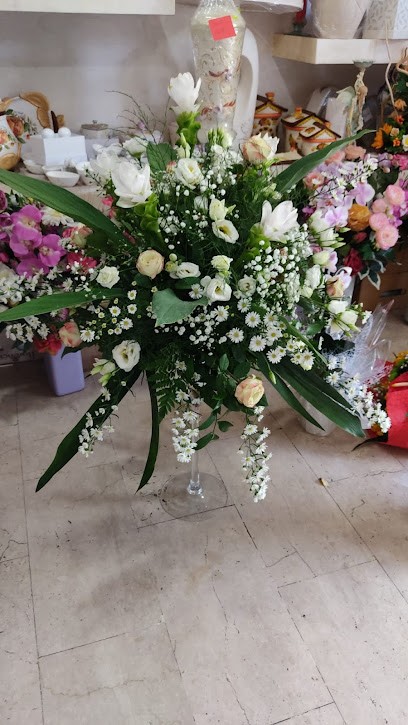 Albachiara Di Crea Maria, Fiorista a Pizzo