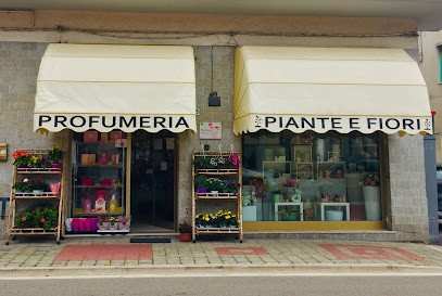 Fiorista Marilena | Fiori nella regione Molise, Fiorista a Petacciato