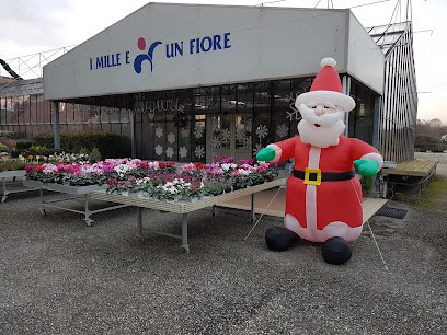 I MILLE E UN FIORE, Fiorista a Mirano