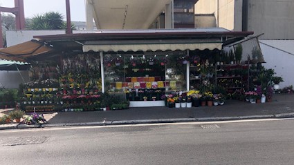 Piante E Fiori Laurentina Jessica&Mary, Fiorista a Roma