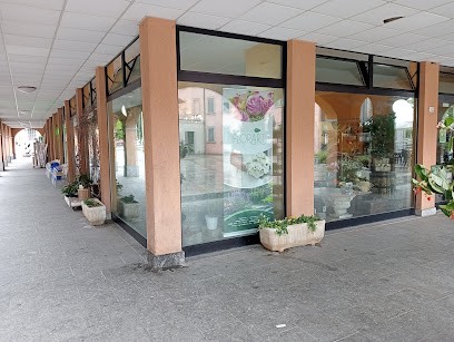 Florart, Fiorista a Vedano Olona