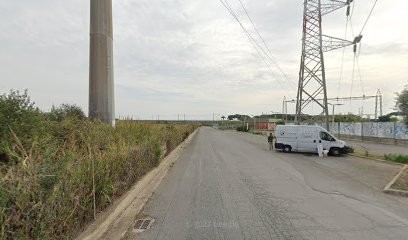 Zoboli Rita, Fiorista a Santa Marinella