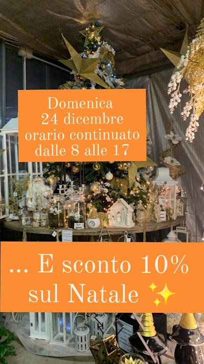 Serena Fiori, Fiorista a Guidizzolo