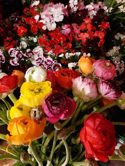 Art Du Fleur Di Strazzi Sabrina, Fiorista a Reggiolo