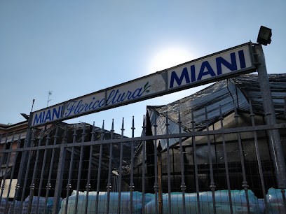 Floricoltura Miani, Fiorista a Vignola