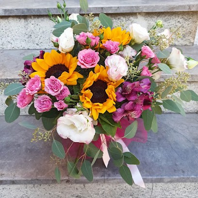 Le Follie Del Bosco Di Nelli Sheila, Fiorista a Roccastrada