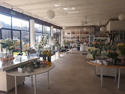 Il Barbaverde, Fiorista a Cantù