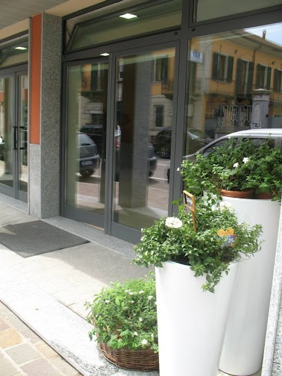 Creazioni In Fiore, Fiorista a Borgomanero