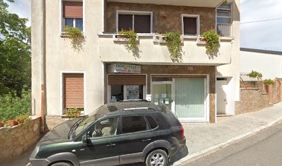 Flori Piante, Fiorista a Austis